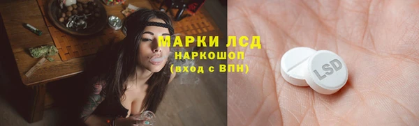 мет Алексин