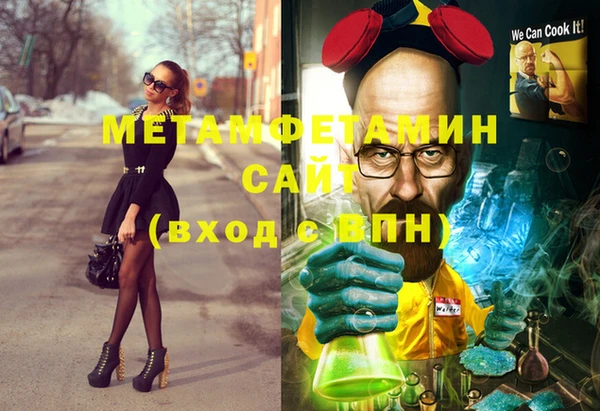 мет Алексин