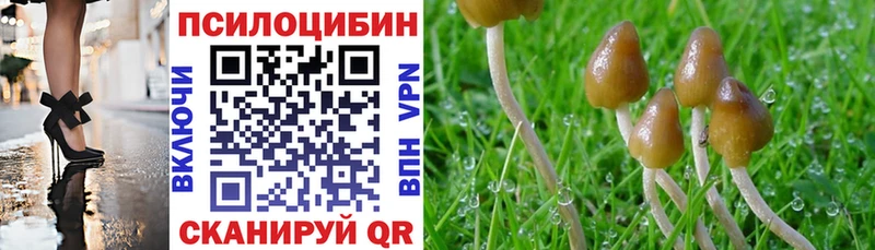 Галлюциногенные грибы мицелий хочу наркоту Заводоуковск